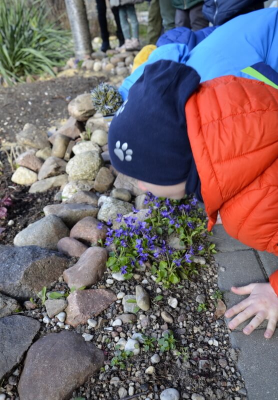 Grupa dzieci pochyla się nad kwitnącymi wiosennymi kwiatami. Tło stanowi roślinność i kamyki w ogrodzie. 