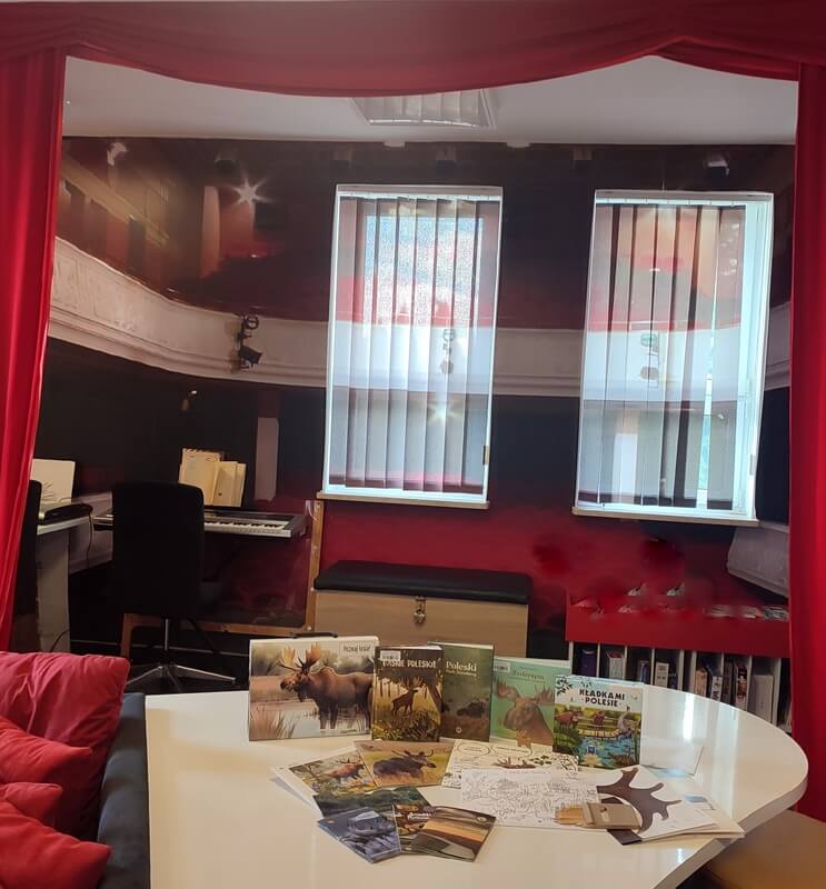 Na zdjęciu w przestrzeni bibliotecznej wyeksponowane są książki